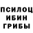 Галлюциногенные грибы Magic Shrooms UnarmedChannel